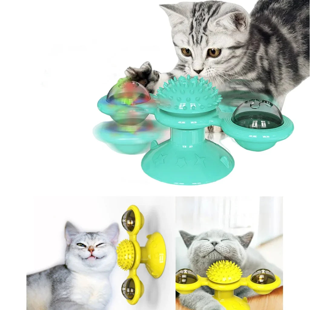 Grooming & Cleaning